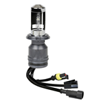 12/24V Lampadina HID Xenon 5.000K - H4 - 1 pz  - Scatola